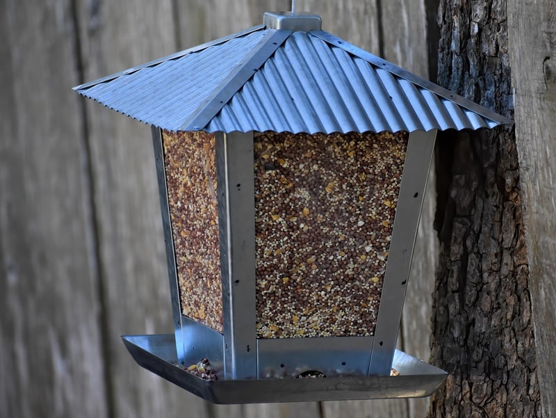 Bird feeder