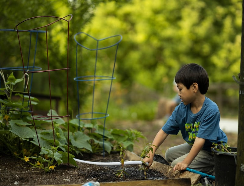 Kids gardening